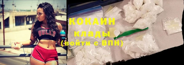 spice Алексин