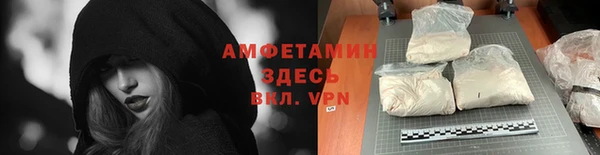 молекула духа Алексеевка