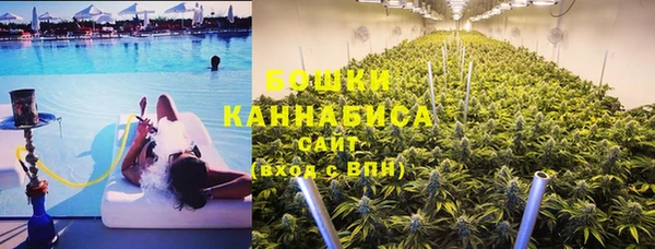 молекула духа Алексеевка