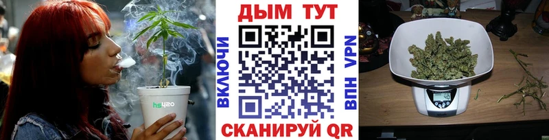 Канабис ГИДРОПОН Новосиль